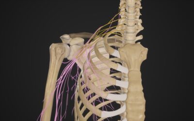 Brachial Plexus Palsy Injury Lawyer